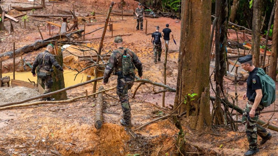 “Somos la especie más peligrosa de la historia”: 5 gráficos que muestran el impacto de la actividad humana sobre la biodiversidad