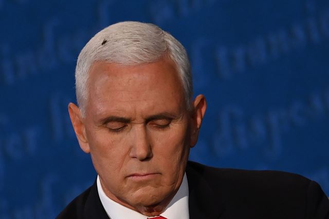 Mosca (sí, una mosca) se cuela en el debate Mike Pence-Kamala Harris y se vuelve viral
