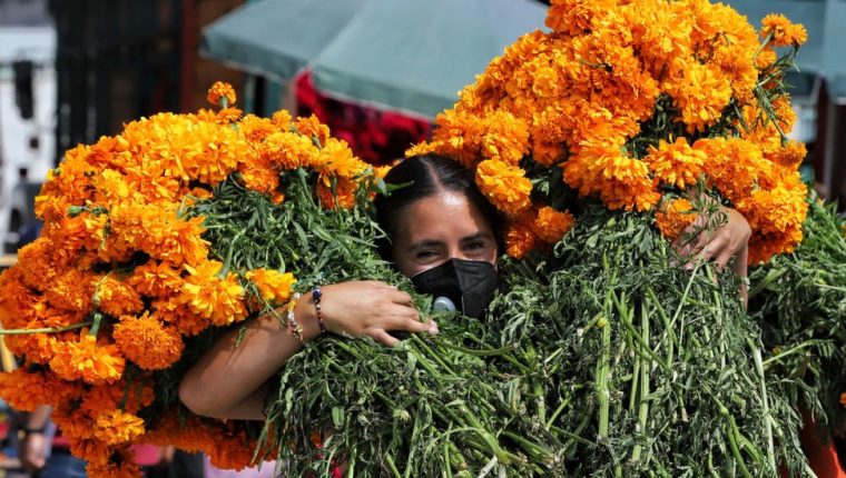 Flor de muertos en México
