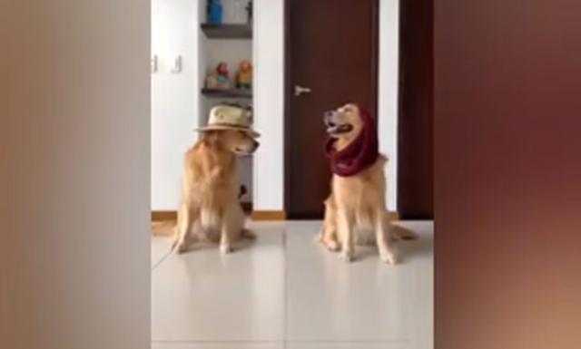 Me miro y la mire Tik Tok