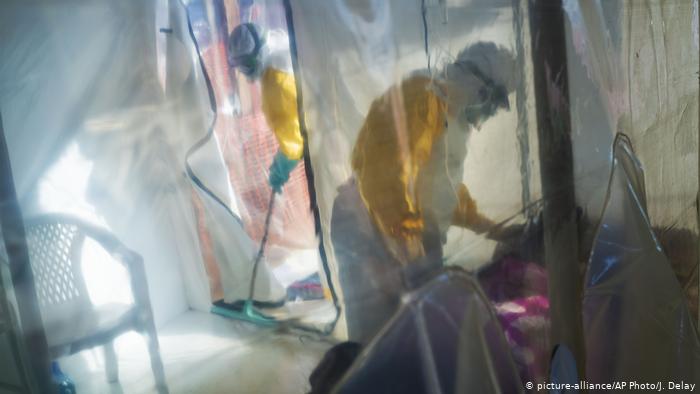 Descubren nuevos casos de virus similar al ébola en Bolivia