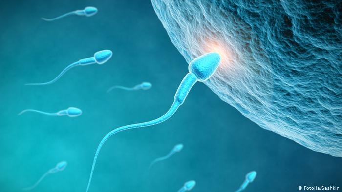 El coronavirus puede afectar la fertilidad masculina, según estudio
