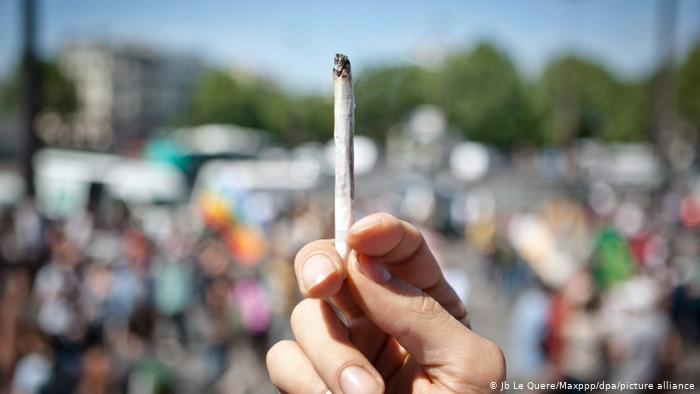 México aprueba consumo médico, recreativo e industrial de marihuana