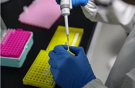 Estados Unidos dice que no hay evidencia sólida de que nueva cepa de coronavirus sea más contagiosa