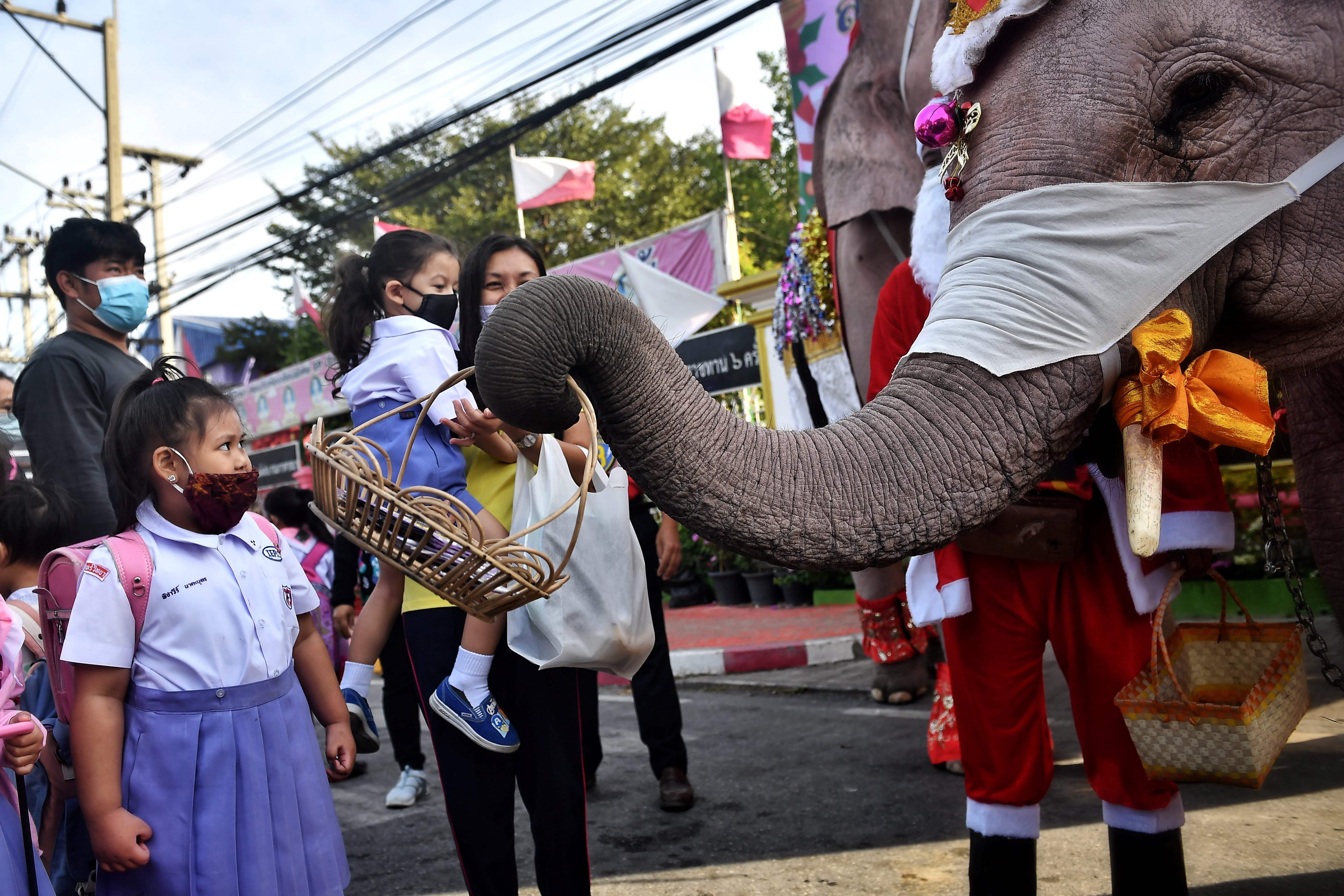 Las fantásticas fotos de elefantes vestidos de Santa Claus que repartieron mascarillas en una escuela de Tailandia