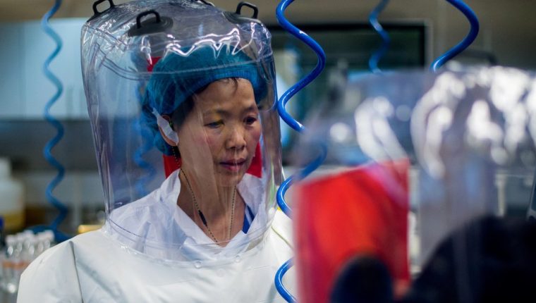 La viróloga china Shi Zhengli se mostró de acuerdo con que la OMS visite su laboratorio en Wuhan.