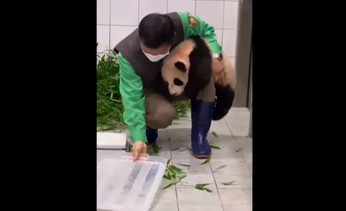 Video: el tierno bebé y su gesto que se volvió viral y alcanzó 4 millones de reproducciones en YouTube