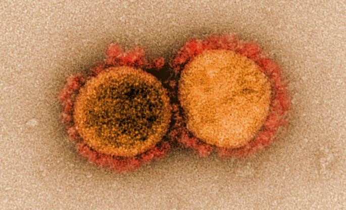 Ciencia 2020: el coronavirus que acorraló a la humanidad