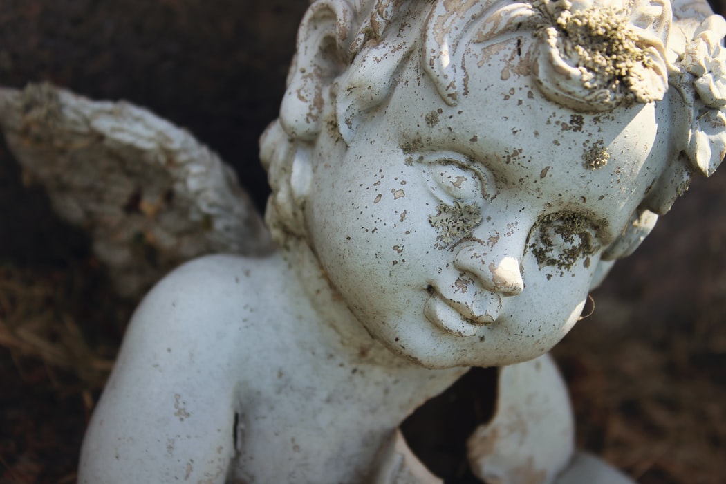 Medio cerdo y pollos decapitados: las ofrendas que encontraron en la tumba milenaria de un niño en Francia