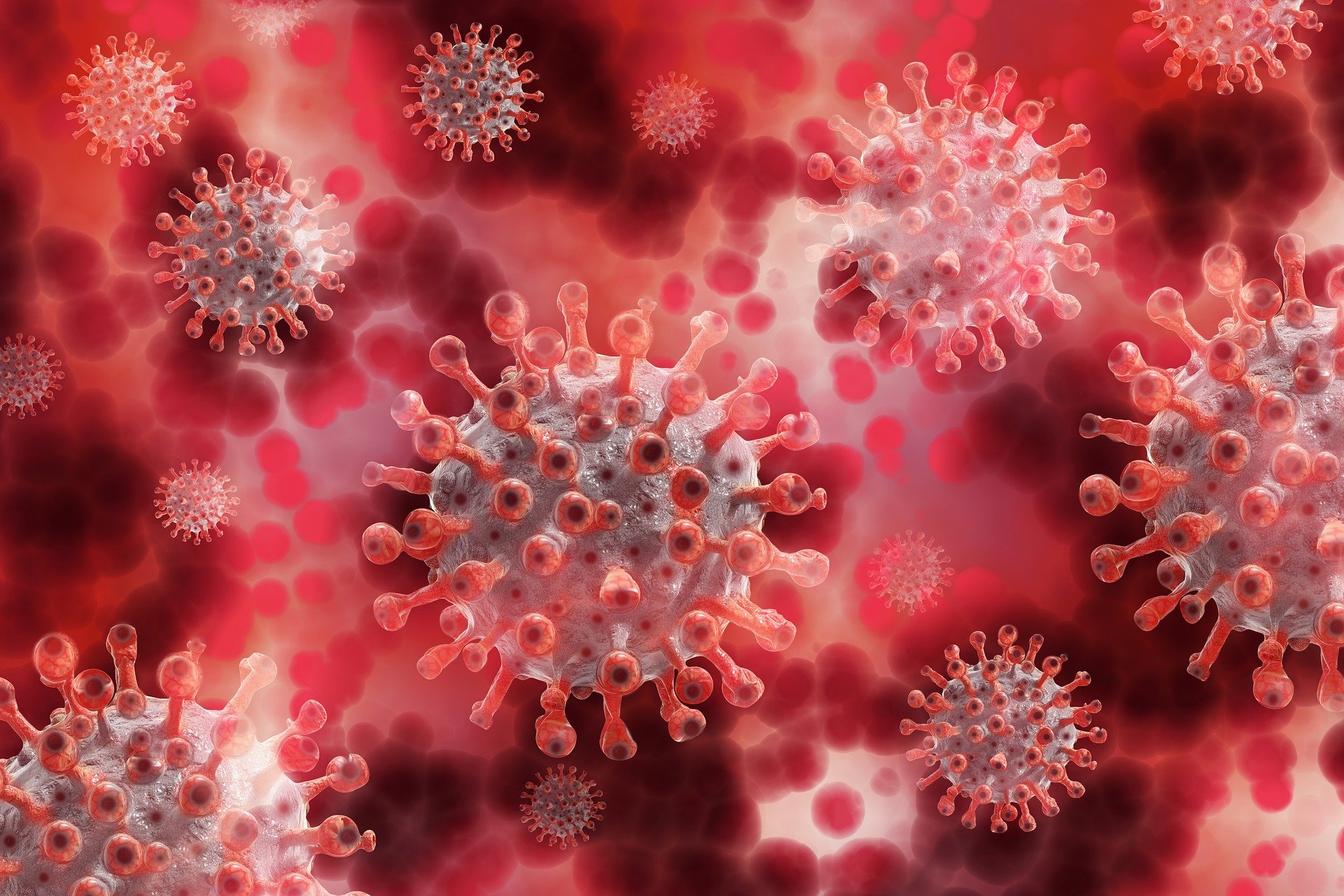 El Gobierno británico asegura que la nueva cepa del coronavirus es más mortal que la original