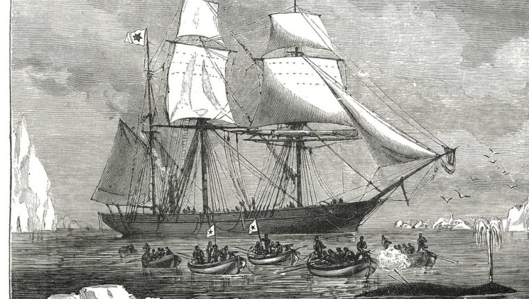 Viral en TikTok: Sea Shanties, las viejas canciones de marineros que causan furor