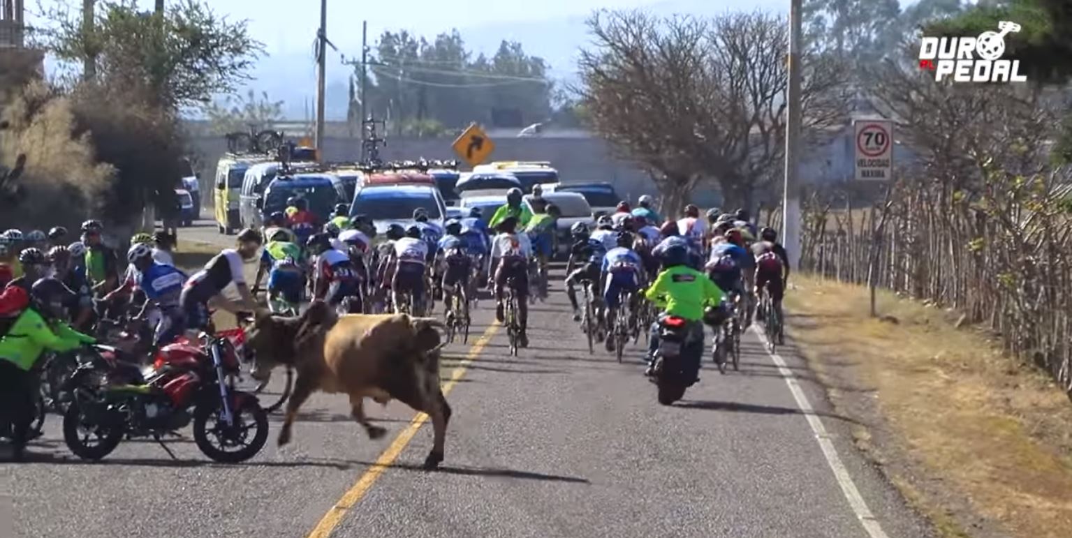 Video: Toro embiste a ciclistas que corrían el Tour por la paz en Jalapa