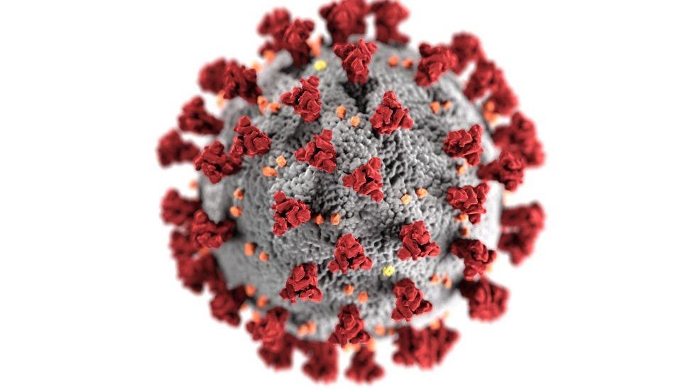 Coronavirus: qué se sabe de la variante de “doble mutación” encontrada en India