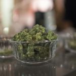 ONU advierte que se  ha reducido temor de adolescentes a graves efectos de la marihuana