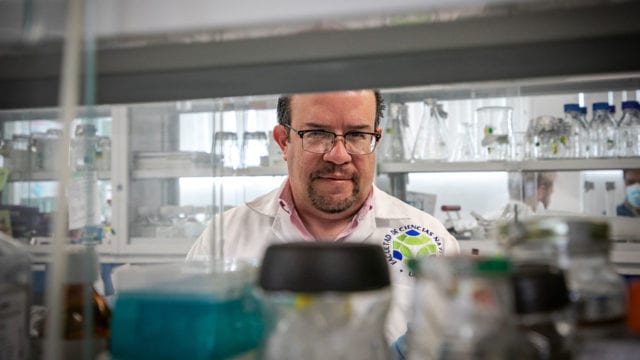 Qué se sabe de la vacuna mexicana contra el coronavirus y sobre su efectividad