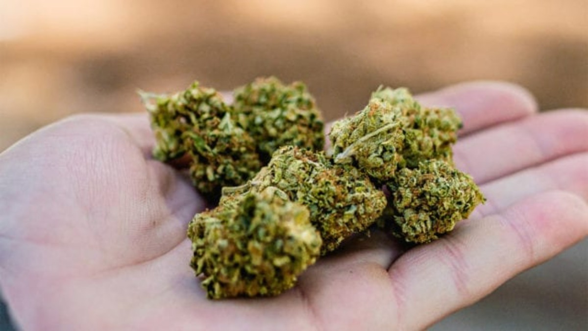 ¿Qué permite y qué prohíbe la ley de consumo de marihuana en México?