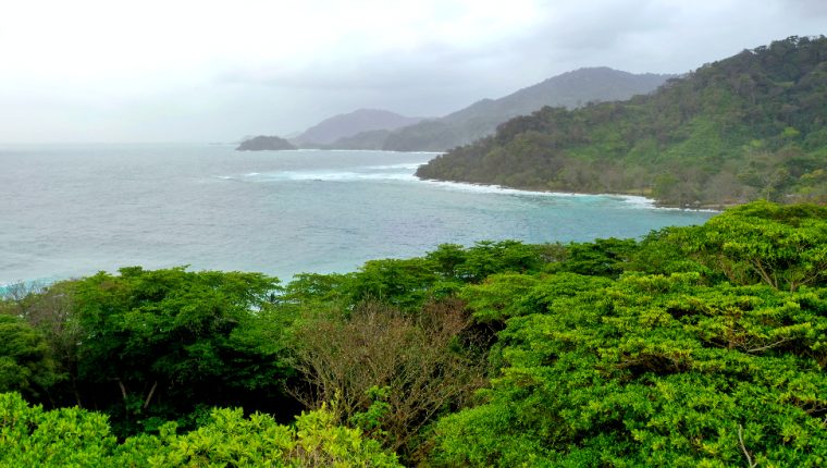 Tapón del Darién | “La boca del lobo”: la “crisis olvidada” en la tupida y peligrosa selva entre Colombia y Panamá