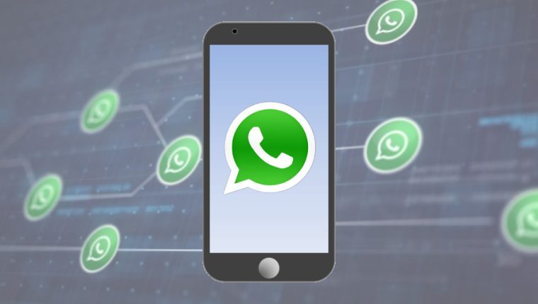 Así operaba un profesor que vendía respuestas de examen por WhatsApp a estudiantes en universidad en Italia