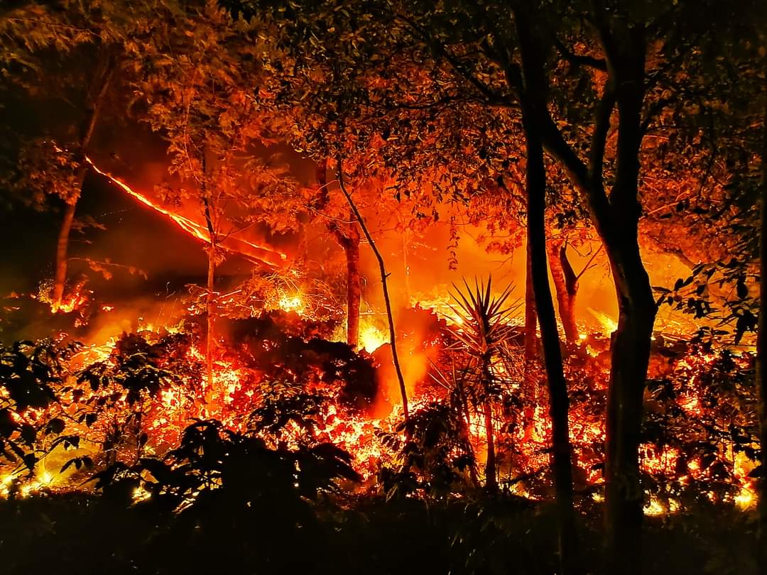 Volcán de Pacaya: las impresionantes imágenes de los flujos de lava que captó un vecino