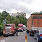 Exreina de belleza muere arrollada cuando intentaba cruzar la carretera
