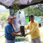 Productores diversifican cultivos y agregan aguacate de exportación a sus parceles