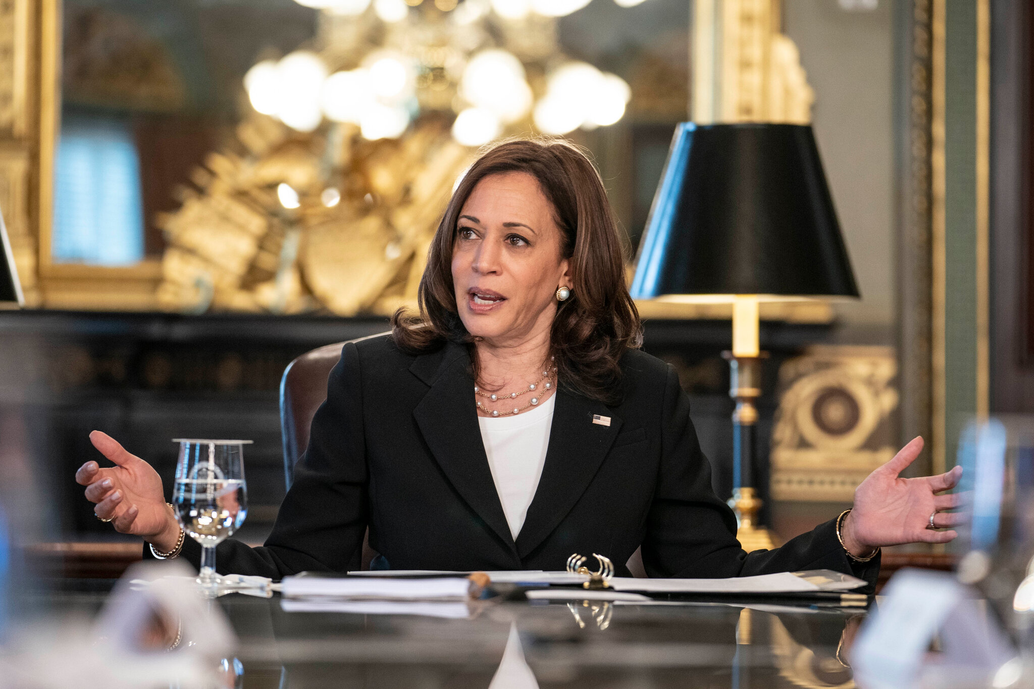 [Viva La Noticia] Resultados de la visita de Kamala Harris al país