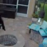 El momento en que un policía usa taser contra joven que esperaba a su novia en Florida