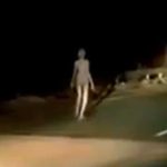 ¿Es cierto que un alien fue visto en la carretera? Esta es la verdad detrás del insólito video viral