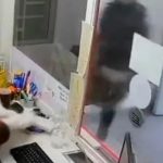 El impactante momento que vivió una mujer cuando le apuntaron para robarle mientras amamantaba a su bebé