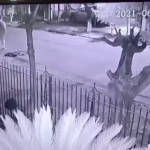 Video impactante: policía se resiste a robo y se desencadena una balacera que deja dos muertos