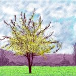 La llegada de la primavera: las imágenes de optimismo y color del artista David Hockney hechas con un iPad