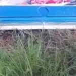 Desconocidos profanan tumba y se presume fue con el objetivo de extraer objetos de valor