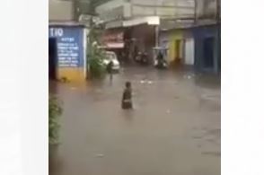 VIDEO: las insólitas imágenes de las calles de Tecún Umán que se convirtieron en ríos en donde los niños aprovecharon para nadar