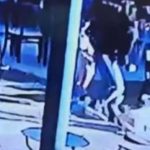 Hombre mata a perro de una patada por salvar a su hijo, pero provoca polémica