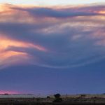 Qué es el infernal “dragón de nubes” que se forma sobre los incendios que arrasan el oeste de EE.UU.