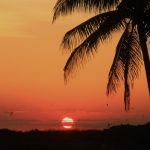 Cambio climático: qué hace una “jefa de calor”, el inédito cargo creado en Miami para combatir un “asesino silencioso”