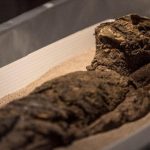 La fascinante historia de la “cultura chinchorro” que logró momificar a sus muertos más de dos mil años antes que los egipcios