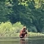 Video: Hombre asegura que grabó a “Pie Grande” en un río en Estados Unidos y las imágenes se viralizan