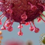 Coronavirus: la mujer de 90 años que murió tras infectarse simultáneamente con dos variantes de covid-19