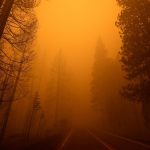 Incendios: las imágenes de la devastación en varias partes de Estados Unidos, Rusia y Grecia