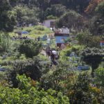 “Escuché un golpe”: el duro relato de un hombre que perdió a su familia en un deslave provocado por Grace