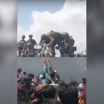 Un bebé afgano es entregado por encima de un muro en Kabul a soldados de EE. UU.