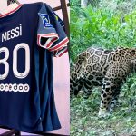 Ambientalista guatemalteco explica qué podría lograrse en la selva de Petén con cinco días de salario de Messi en el PSG