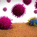 Mutaciones del coronavirus: ¿cómo será su evolución?
