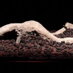 Erupción del Vesubio: En Pompeya la dieta variaba según el sexo, dicta análisis de colágeno en restos óseos