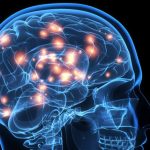 6 ejercicios que practica cada día la neurocientífica Wendy Suzuki para mejorar su fortaleza mental