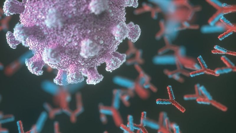 CORONAVIRUS