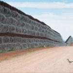 La imagen de un “correcaminos” en el muro fronterizo entre EE. UU. y México gana prestigioso concurso de fotografía