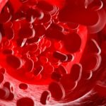 Qué es el glicocálix, el poco conocido pero trascendental órgano que está en todo nuestro cuerpo