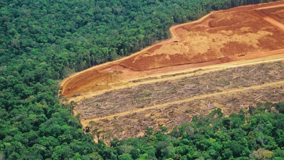 Cambio climático: los 5 países que más han contribuido históricamente al calentamiento global